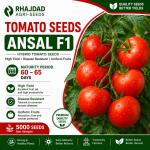 Tomato seed Ansal F1