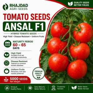 Tomato seed Ansal F1