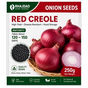 Onion seeds Red Creole