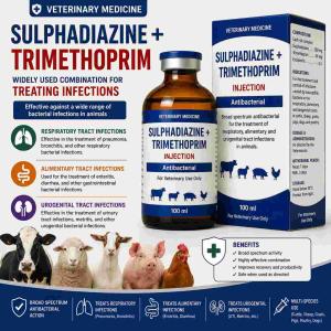 Sulphadizine + trimethoprim